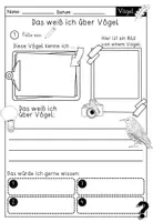 Vorschau - Arbeitsblätter - Lernwerkstatt Heimische Vögel - differenziertes Angebot für die 1. 2. und 3. Klasse - Seite 3