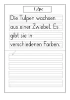 Vorschau - Arbeitsblätter - Abschreibheft- Frühblüher- Klasse 1 - Seite 1