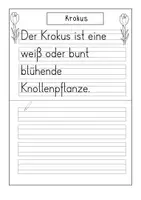 Vorschau - Arbeitsblätter - Abschreibheft- Frühblüher- Klasse 1 - Seite 2
