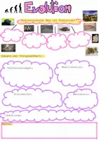 Vorschau - Arbeitsblätter - Evolution Arbeitsblatt Einstieg - Deckblatt