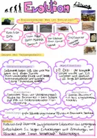 Vorschau - Arbeitsblätter - Evolution Arbeitsblatt Einstieg - Seite 2