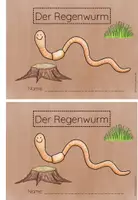 Vorschau - Arbeitsblätter - Der Regenwurm - Arbeitsheft inkl Forschertagebuch - Tiere der Wiese - Seite 1