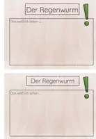 Vorschau - Arbeitsblätter - Der Regenwurm - Arbeitsheft inkl Forschertagebuch - Tiere der Wiese - Seite 2