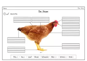 Vorschau - Unterrichtsreihen - Nutztiere/ Bauernhof: XXL-Paket - Seite 2