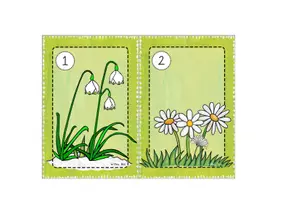 Vorschau - Arbeitsblätter - 2. Klasse: Lesespaziergang Frühblüher Grundschrift UND Druckschrift 1. und 2. Klasse, Jahrgangsmischung - Seite 2