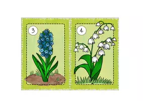 Vorschau - Arbeitsblätter - 2. Klasse: Lesespaziergang Frühblüher Grundschrift UND Druckschrift 1. und 2. Klasse, Jahrgangsmischung - Seite 3