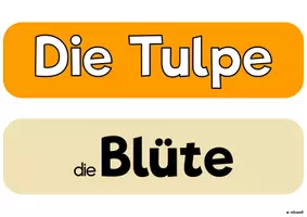 Vorschau - Arbeitsblätter - Frühblüher (Materialpaket für Kl. 1/2) - Seite 3