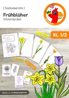 Vorschau - Arbeitsblätter - Frühblüher (Materialpaket für Kl. 1/2) - Deckblatt