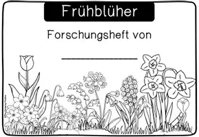 Vorschau - Arbeitsblätter - Frühblüher - Arbeitsblätter und Lösungen - Seite 1