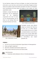 Vorschau - Arbeitsblätter - Kakteengewächse - Sachtext mit Aufgaben - Seite 2