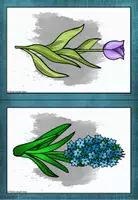 Vorschau - Unterrichtsreihen - Frühblüher - Tafelmaterial (Bild- und Wortkarten) - Seite 1