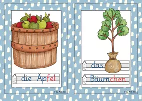Vorschau - Bildkarten - Buchstabeneinführung Äu und äu - Wort-Bildkarten (1. Klasse) - Seite 2