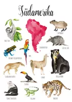 Vorschau - Poster - SÜDAMERIKA Kontinent Tiere Herunterladbare Drucke Aquarell Montessori Pädagogische Kinder Jungen Jungen Mädchen - Seite 1