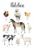 Vorschau - Poster - Nutztiere herunterladbare Drucke Aquarell Montessori Bildungsplakate - Seite 1