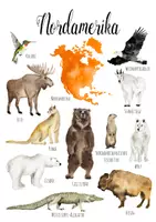 Vorschau - Poster - NORDAMERIKA Kontinent Tiere Herunterladbare Drucke - Seite 1