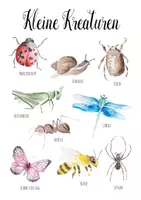 Vorschau - Poster - Kleine Kreaturen Insekten Herunterladbares Druckplakat - Seite 1