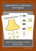 Vorschau - Spiele - Synaptische Übertragung - Deckblatt