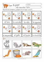 Vorschau - Arbeitsblätter - MASCOTAS / animales Arbeitsblätter Spanisch (leer y pegar) - Seite 3