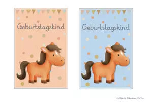 Vorschau - Anderer Materialtyp - Pferdeklasse Geburtstagsschilder - Seite 2