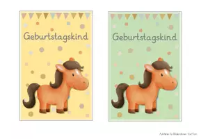 Vorschau - Anderer Materialtyp - Pferdeklasse Geburtstagsschilder - Seite 3