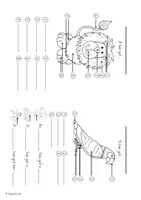 Vorschau - Arbeitsblätter - "Wild Animal Bodies": Picture Dictionary & Bild-und Wortkarten - Seite 2