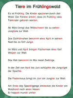 Vorschau - Arbeitsblätter - Leseweg | Waldtiere | Wald im Frühling | Jungtiere | Leseförderung - Seite 3