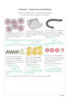 Vorschau - Mal- und Bastelvorlagen - Arbeitsblatt Umkehrrechnung Multiplikation mit Ausmalen - Seite 3