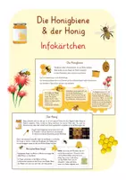 Vorschau - Arbeitsblätter - Die Honigbiene und der Honig - Infokärtchen - Deckblatt