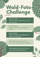 Vorschau - Spiele - Foto-Challenge im Wald - Seite 1