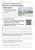 Vorschau - Arbeitsblätter - BNT: Recherche zur Wärmestrahlung (Eisbärenhaut) - Deckblatt