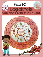 Vorschau - Präsentationen/Tafelbilder - Legekreis Kirsche - Von der Blüte zur Frucht - Deckblatt