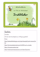 Vorschau - Arbeitsblätter - Frühblüher Abschreibkartei zum Üben der Schreibschrift - LA - mittel - Seite 1