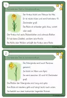 Vorschau - Arbeitsblätter - Frühblüher Abschreibkartei (zum Üben der Schreibschrift) - schwierig - Seite 2