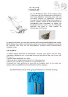 Vorschau - Arbeitsblätter - Fossilienketten selber basteln - Deckblatt