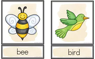 Vorschau - Bildkarten - Springtime - Picture & Word Cards - Seite 2