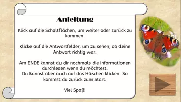 Vorschau - Bildkarten - Schmetterlingsarten qiuz - Seite 1