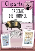 Vorschau - selbst erstellte Cliparts/Grafiken - Freebie "die Hummel" Clipart Insekt - Deckblatt