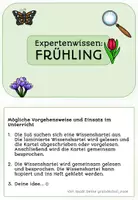 Vorschau - Arbeitsblätter - Frühling Wissenskartei | Sachunterricht Klasse 1-3 - Seite 2