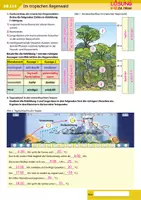 Vorschau - Arbeitsblätter - Im tropischen Regenwald - Seite 2