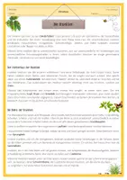 Vorschau - Arbeitsblätter - Arbeitsblatt - Die Insekten - Deckblatt