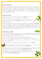 Vorschau - Arbeitsblätter - Arbeitsblatt - Die Insekten - Seite 1