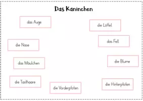 Vorschau - Aufgabenkarten - Klettmappe - Haustiere - Das Kaninchen - Seite 2
