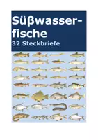 Vorschau - Arbeitsblätter - Süsswasserfische: 32 Steckbriefe - Deckblatt