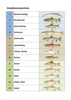 Vorschau - Arbeitsblätter - Süsswasserfische: 32 Steckbriefe - Seite 1
