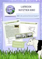 Vorschau - Arbeitsblätter - Lapbookteil 1: Wie wurde das Rind zum Haustier? - Deckblatt