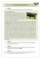 Vorschau - Arbeitsblätter - Lapbookteil 1: Wie wurde das Rind zum Haustier? - Seite 1
