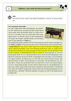 Vorschau - Arbeitsblätter - Lapbookteil 1: Wie wurde das Rind zum Haustier? - Seite 2