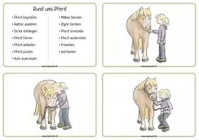 Vorschau - Bildkarten - 100 Bild- und Wortkarten Pferde Reiten Reittherapie - Seite 3