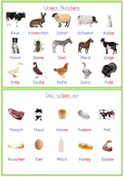 Vorschau - Merkblätter - Nutztiere: Kleine Wissenskartei zu Nutztieren und tierischen Produkten mit Fotos - Seite 1