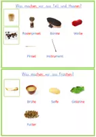 Vorschau - Merkblätter - Nutztiere: Kleine Wissenskartei zu Nutztieren und tierischen Produkten mit Fotos - Seite 3